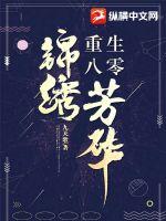 重生八零錦繡芳華