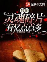 我的靈魂碎片有億點點多