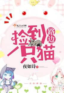 路邊撿到一只貓