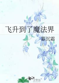 飛升到了魔法界