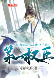 駙馬兇猛：從婦科圣手到第一權臣