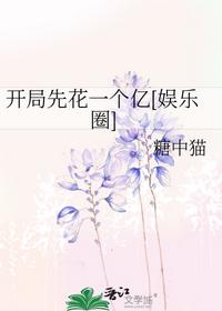 開局先花一個億[娛樂圈]