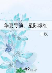 華夏導演，星際爆紅