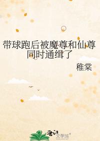 帶球跑后被魔尊和仙尊同時通緝了