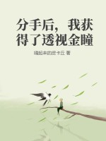 分手后，我獲得了透視金瞳