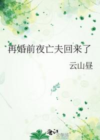 再婚前夜亡夫回來了