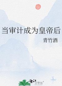 當審計成為皇帝后