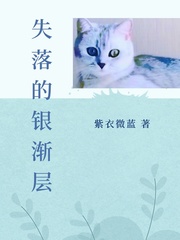 失落的銀漸層