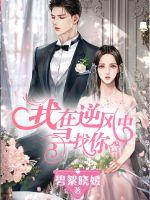 我在逆風中尋找你