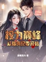 權力巔峰從借調紀委開始