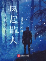全職高手之風(fēng)起散人