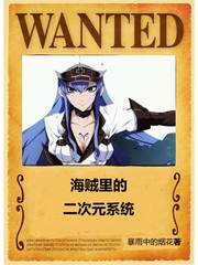 海賊里的二次元系統