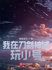 我在刀劍神域玩小號