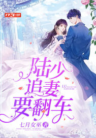 陸少追妻要翻車