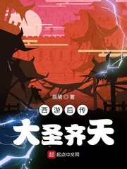 西游后傳，大圣齊天