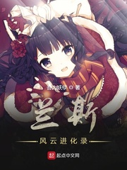 蘭斯風云進化錄