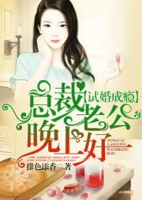 試婚成癮：總裁老公晚上好