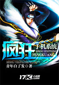 瘋狂手機系統(tǒng)