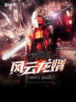 風云龍婿