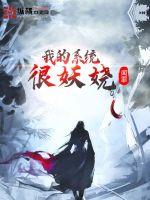 我的系統很妖嬈