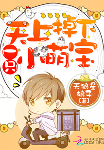 天上掉下一只小萌寶