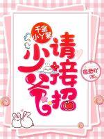 千金小丫鬟：少爺，請接招