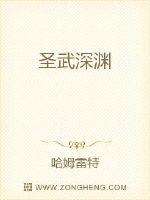 圣武深淵