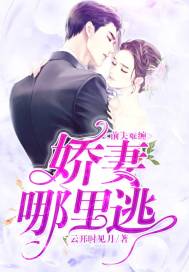 前夫難纏：嬌妻哪里逃