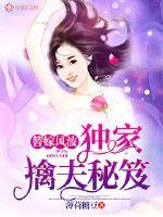 替嫁風波：獨家擒夫秘笈