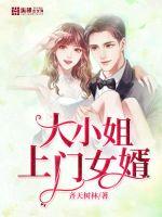 大小姐上門女婿