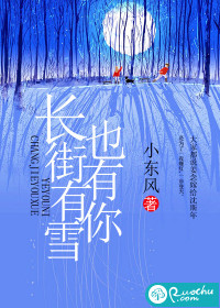 長街有雪也有你
