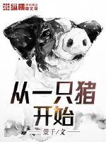 從一只豬開始