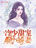 一眼定情：冷少甜寵小嬌妻
