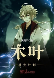 木葉補(bǔ)完計(jì)劃